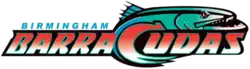 Team logo
