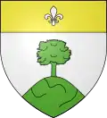 Coat of arms of Salles-Adour