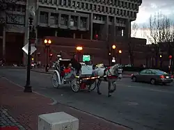 Horse-drawn carriage at dusk on a city street