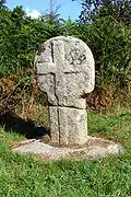 Fig. d19: Boswarthen cross