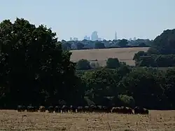 View from Botany Bay towards central London with The Shard in distance