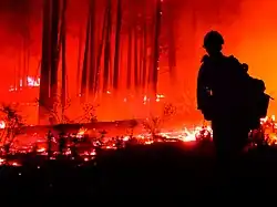 Silhouetted firefighter in front of red flames burning among a group of trees at nighttime