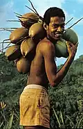 Boy with coconuts Seychelles