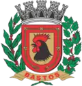 Coat of arms of Bastos
