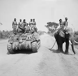 255th Indian Tank Brigade encounter elephant near Meiktila