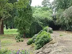 Heavily overgrown footpath on a raised earth bank