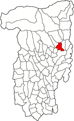 Location in Vâlcea County