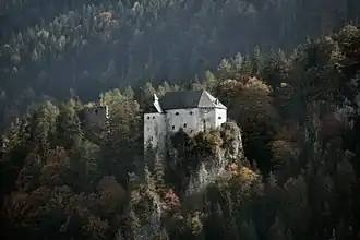 Stein Castle (Dellach im Drautal) [de] (owned since 1681)