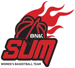 Busan BNK Sum 부산 BNK 썸 logo