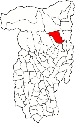 Location in Vâlcea County