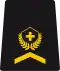OR-5a - Sergeant