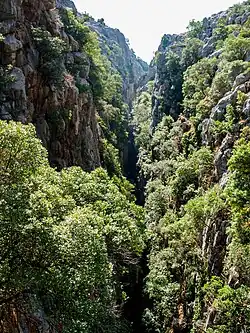 Cañón de las Buitreras [es]