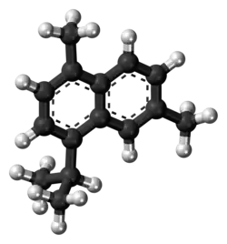 Ball-and-stick model