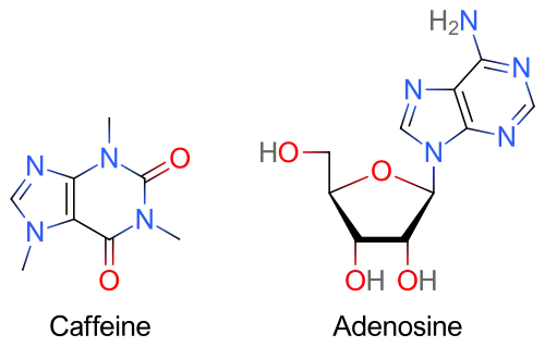 Two skeletal formulas: left – caffeine, right – adenosine.