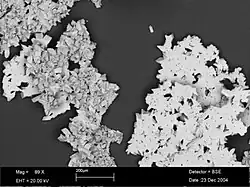 BSE-SEM image at 89 times magnification showing topsides of the calcite rafts (flat surfaces) and bottom crystals growing underneath