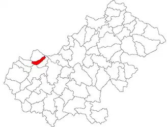 Location in Satu Mare County