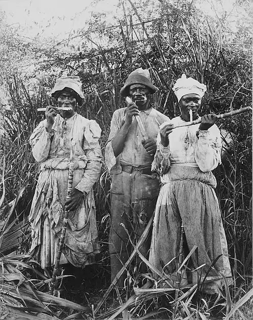 Image 22Cane cutters in Jamaica, 1880s. (from History of the Caribbean)