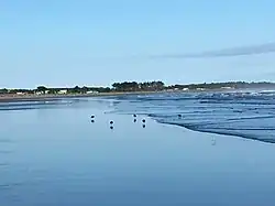 Carters Beach at low tide