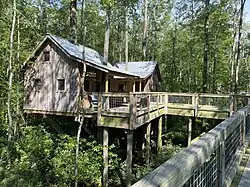 Tree house on the Cashie River