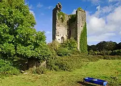 Ruins of Kilkishen Castle, near the village
