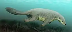 Restoration of Castorocauda underwater with the grassy lakebed visible on the bottom third of the image