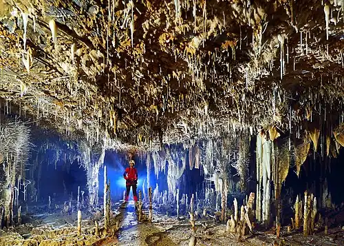 Large cave room with many stalactites, stalagmites, and horizontal spines of rock