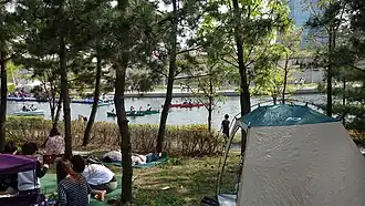 Central Park Campers