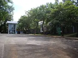 Asphalted courtyard with a garden with several trees and surrounded by a building with several glass windows