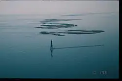 Islands that are flooded and defoliated. The date stamp is "10 1 '98".