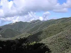 Montane chaparral and mountains.