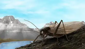 Charlie Woodrow, Prophalangopsis obscura (2022)