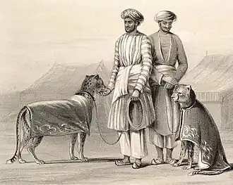 Men in white pujamas with hunting cheetahs, India 1844.