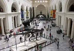 Image 13The main hall of the Field Museum of Natural History in 2007, with Sue the T. rex in the foreground (from Culture of Chicago)