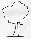 Drawing of a tree with irregular crown.