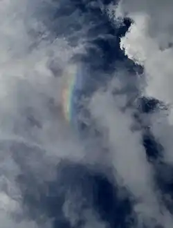 Photographed in Tres Ríos, Costa Rica.