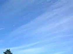 Long, thin, straight cirrus against a blue sky on the left merging to cirrocumulus on the right