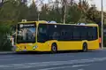 Citaro bus on line 269