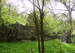 Ruins of wooden church from Ciulpăz