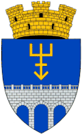 Coat of arms of Edineț