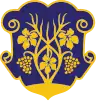 Coat of arms of Uzhhorod