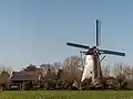 Windmill: de Oude Molen