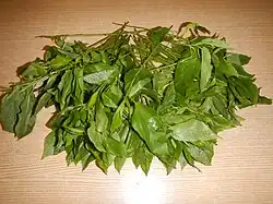 Edible leaves of Corchorus olitorius