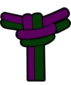 Corda Verde e Roxa - Capoeira, Graduado/a