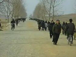 Traffic mainly pedestrians and cyclists on a road