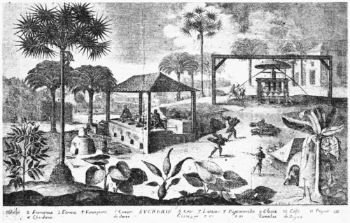 Image 43A sugar mill in Haiti (L'Homme et la Terre by Élisée Reclus, 1830–1905) (from History of Haiti)