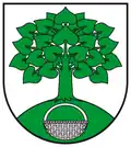 Coat of arms of Schielo