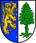 Coat of arms of Dannenfels