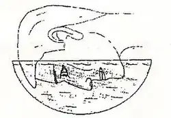 Illustration of a large lens covering a man's face