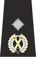Isle of Man Police Deputy Chief Constable Epaulette