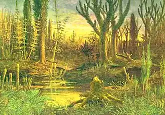 Image 49Artist's conception of Devonian flora (from History of Earth)